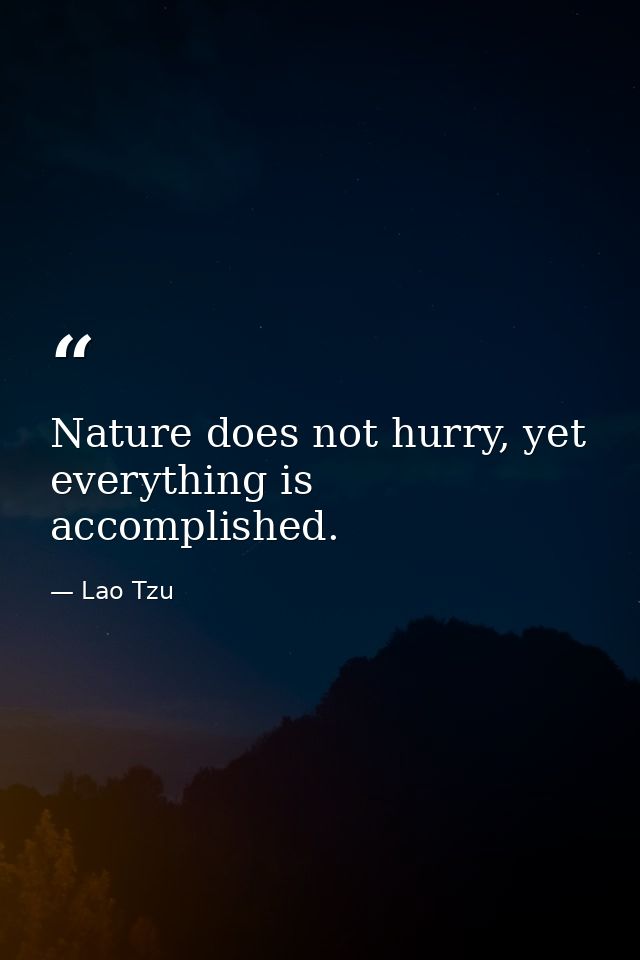 Nature does not hurry, yet everything is accomplished. — Lao Tzu