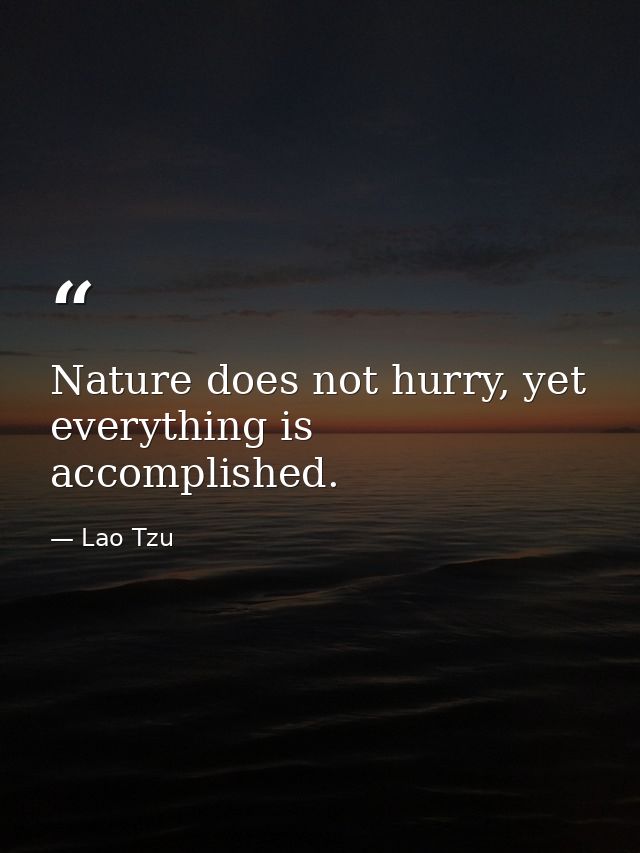 Nature does not hurry, yet everything is accomplished. — Lao Tzu