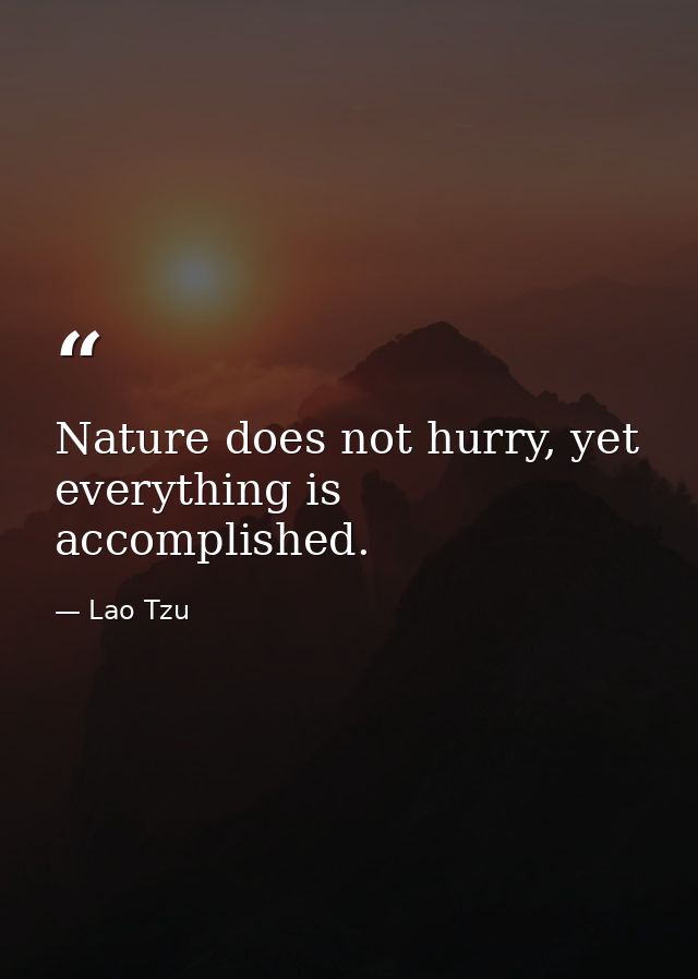 Nature does not hurry, yet everything is accomplished. — Lao Tzu