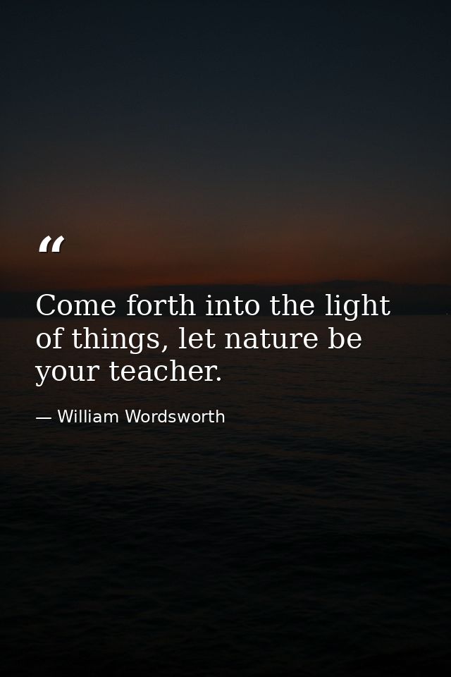 Come forth into the light of things, let nature be your teacher. — William Wordsworth