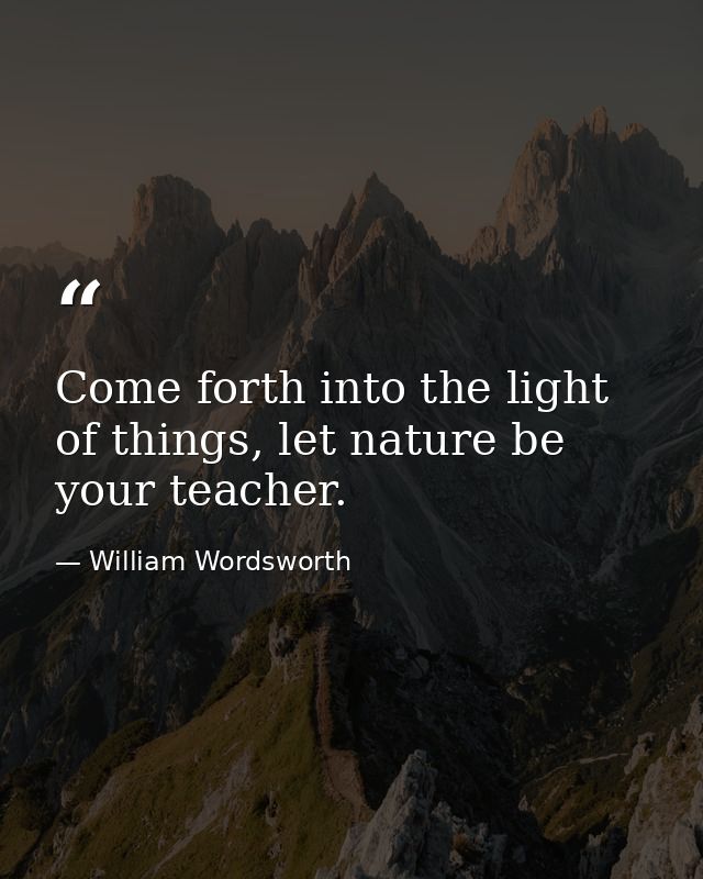 Come forth into the light of things, let nature be your teacher. — William Wordsworth