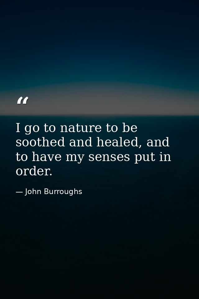 I go to nature to be soothed and healed, and to have my senses put in order. — John Burroughs