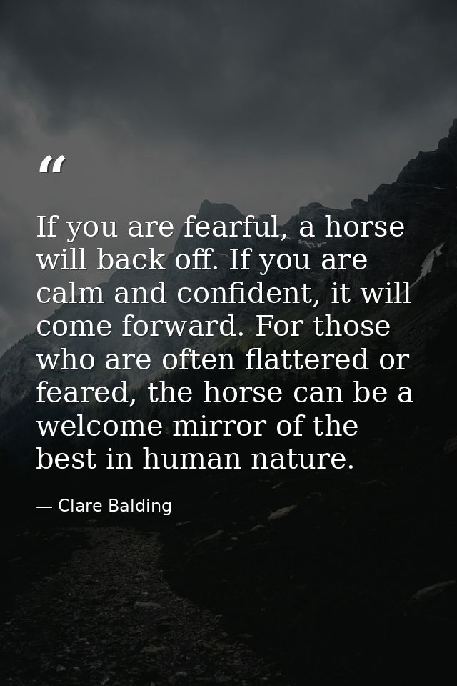 If you are fearful, a horse will back off. If you are calm and confident, it will come forward. For those who are often  — Clare Balding