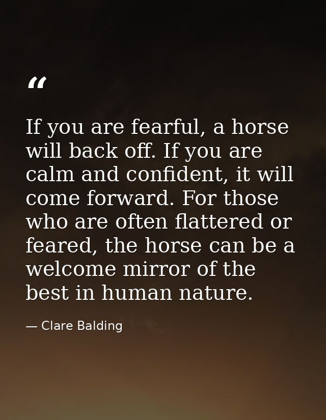 If you are fearful, a horse will back off. If you are calm and confident, it will come forward. For those who are often  — Clare Balding