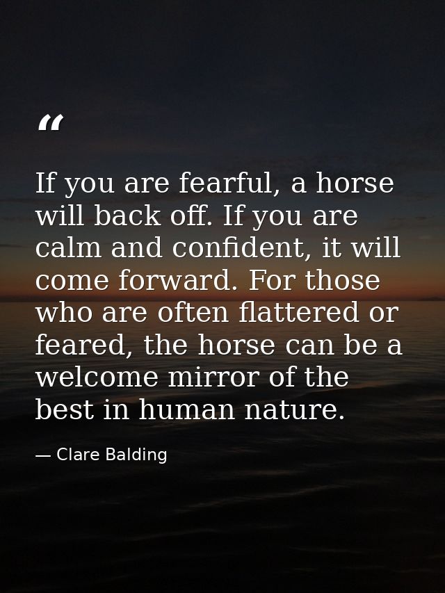 If you are fearful, a horse will back off. If you are calm and confident, it will come forward. For those who are often  — Clare Balding