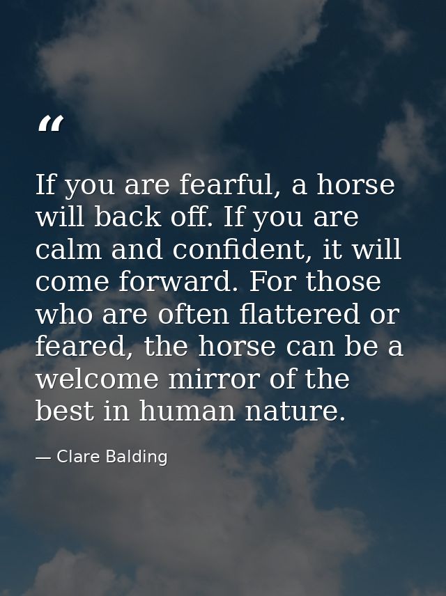 If you are fearful, a horse will back off. If you are calm and confident, it will come forward. For those who are often  — Clare Balding