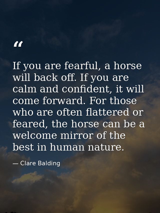 If you are fearful, a horse will back off. If you are calm and confident, it will come forward. For those who are often  — Clare Balding