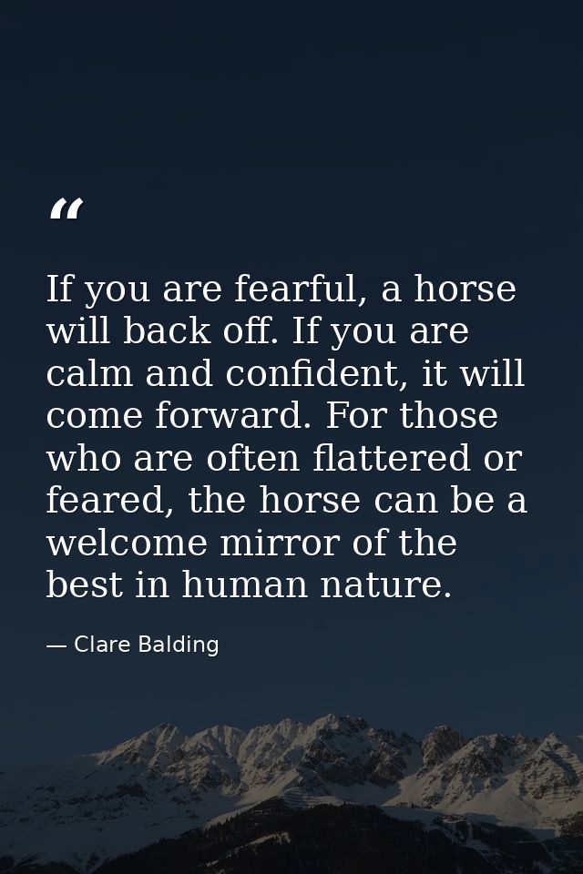 If you are fearful, a horse will back off. If you are calm and confident, it will come forward. For those who are often  — Clare Balding