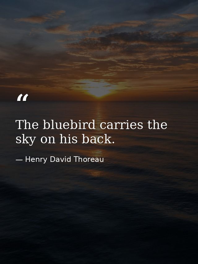 The bluebird carries the sky on his back. — Henry David Thoreau