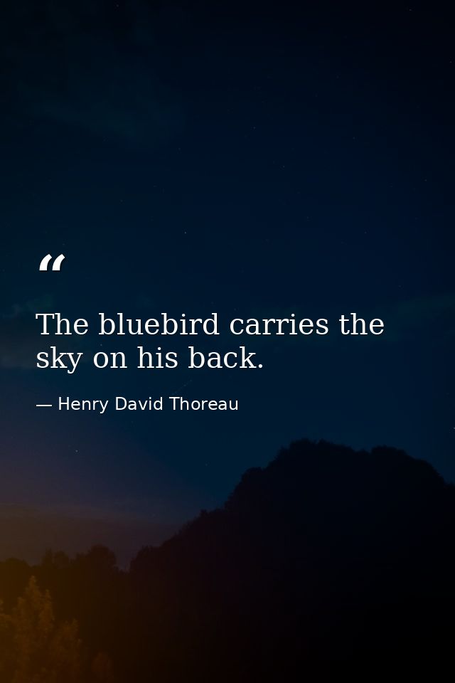 The bluebird carries the sky on his back. — Henry David Thoreau