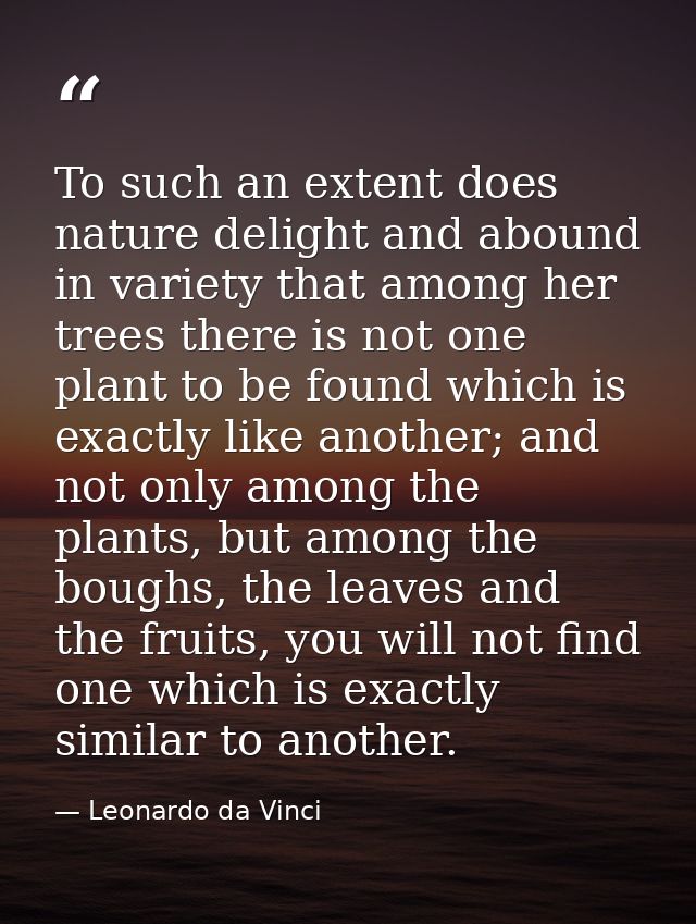 To such an extent does nature delight and abound in variety that among her trees there is not one plant to be found whic — Leonardo da Vinci