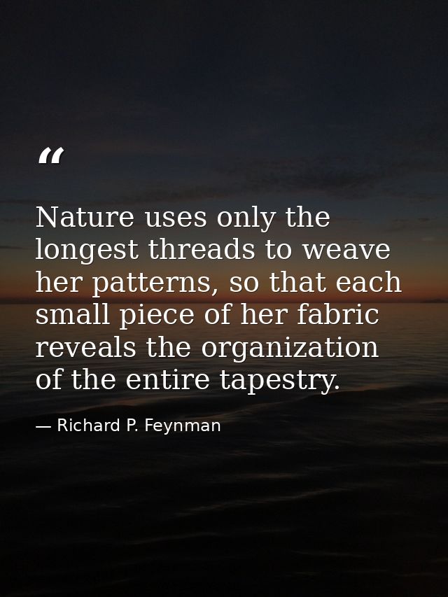 Nature uses only the longest threads to weave her patterns, so that each small piece of her fabric reveals the organizat — Richard P. Feynman