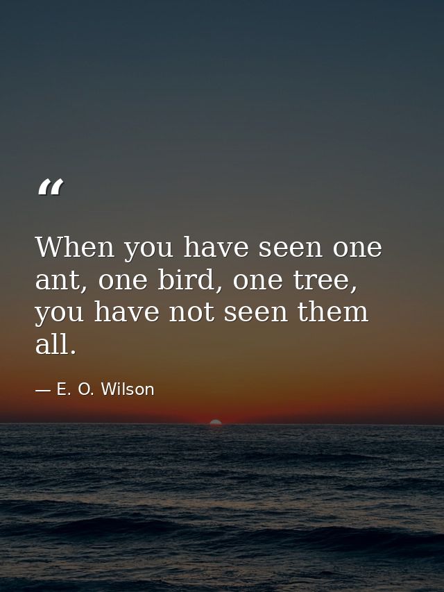 When you have seen one ant, one bird, one tree, you have not seen them all. — E. O. Wilson