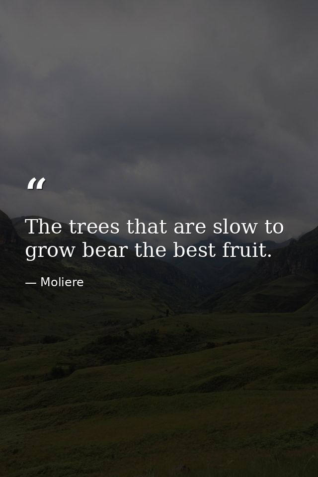 The trees that are slow to grow bear the best fruit. — Moliere