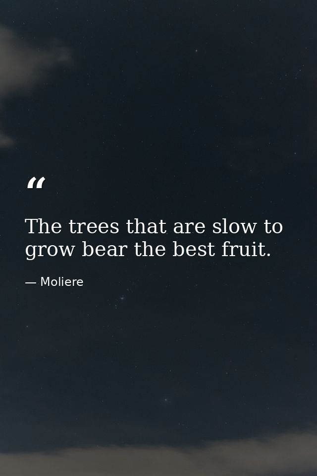 The trees that are slow to grow bear the best fruit. — Moliere