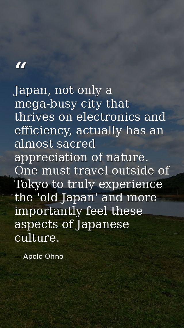 Japan, not only a mega-busy city that thrives on electronics and efficiency, actually has an almost sacred appreciation  — Apolo Ohno