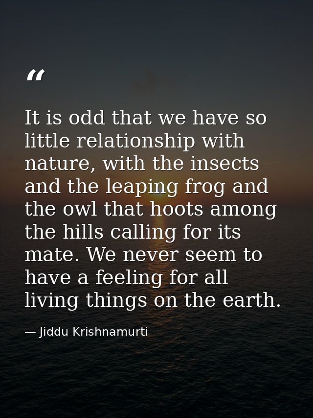 It is odd that we have so little relationship with nature, with the insects and the leaping frog and the owl that hoots  — Jiddu Krishnamurti
