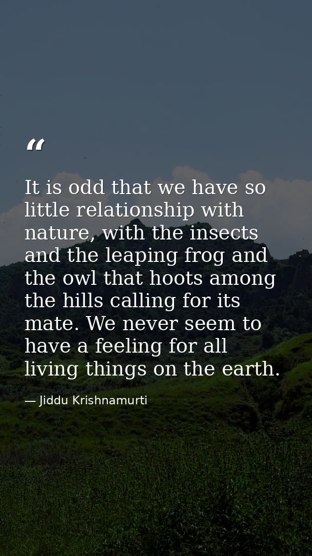 It is odd that we have so little relationship with nature, with the insects and the leaping frog and the owl that hoots  — Jiddu Krishnamurti