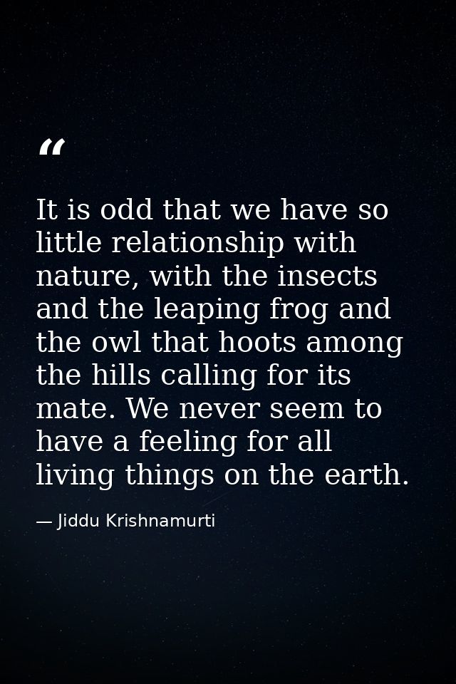 It is odd that we have so little relationship with nature, with the insects and the leaping frog and the owl that hoots  — Jiddu Krishnamurti
