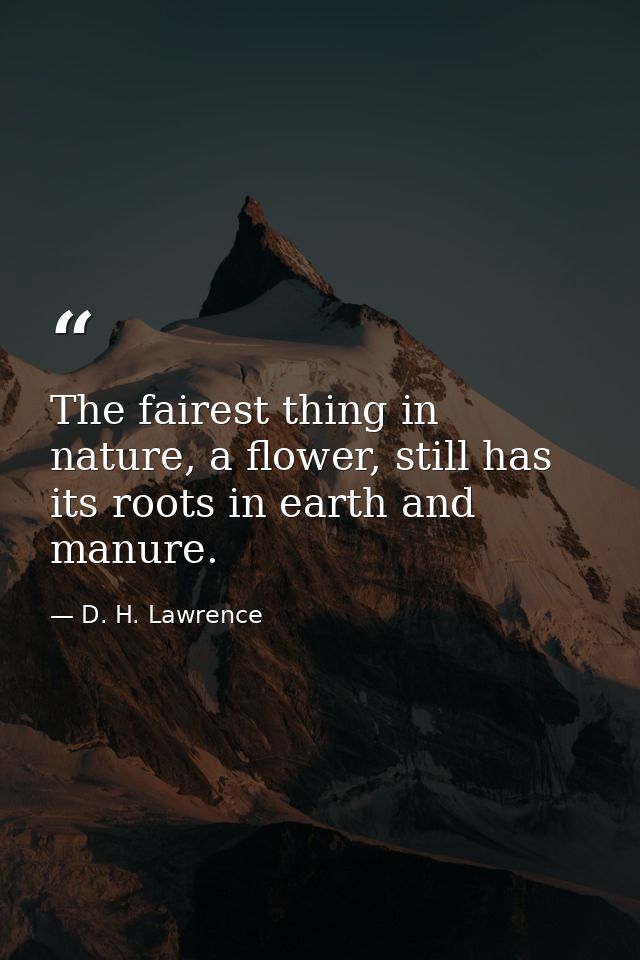 The fairest thing in nature, a flower, still has its roots in earth and manure. — D. H. Lawrence