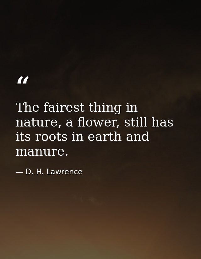 The fairest thing in nature, a flower, still has its roots in earth and manure. — D. H. Lawrence