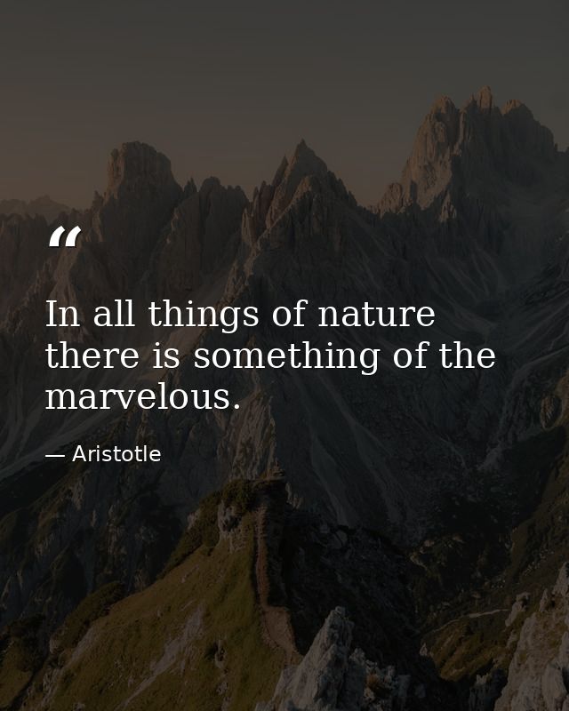 In all things of nature there is something of the marvelous. — Aristotle