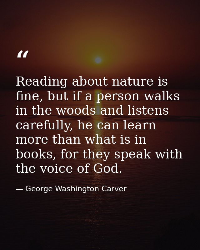 Reading about nature is fine, but if a person walks in the woods and listens carefully, he can learn more than what is i — George Washington Carver