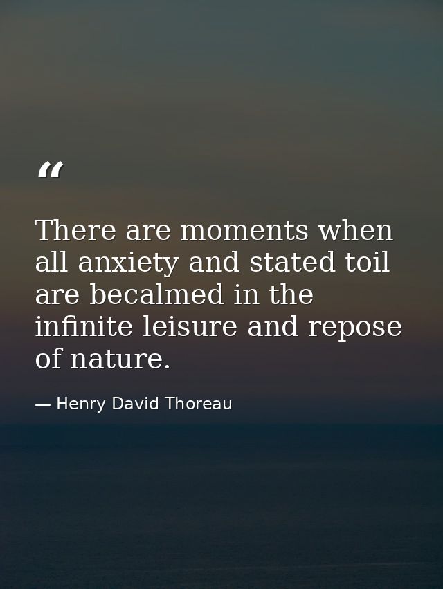 There are moments when all anxiety and stated toil are becalmed in the infinite leisure and repose of nature. — Henry David Thoreau