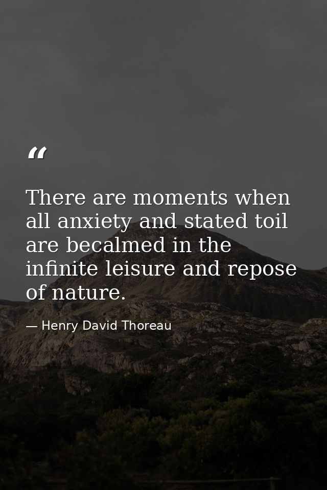 There are moments when all anxiety and stated toil are becalmed in the infinite leisure and repose of nature. — Henry David Thoreau