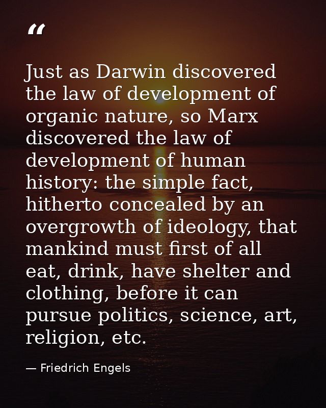 Just as Darwin discovered the law of development of organic nature, so Marx discovered the law of development of human h — Friedrich Engels
