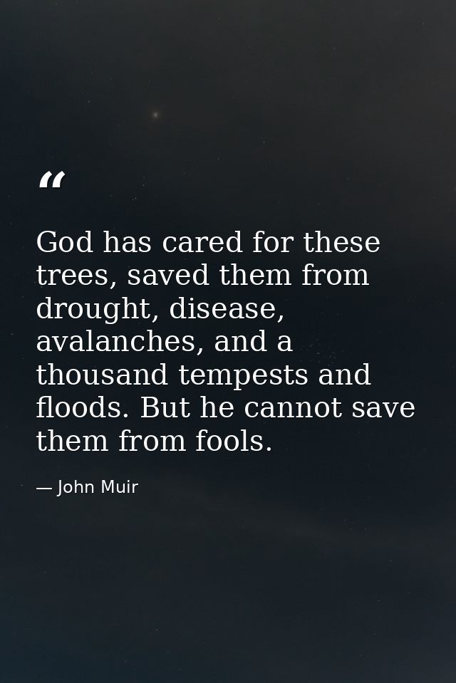 God has cared for these trees, saved them from drought, disease, avalanches, and a thousand tempests and floods. But he  — John Muir