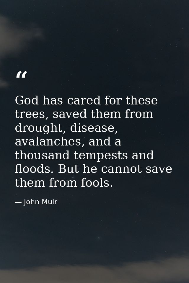 God has cared for these trees, saved them from drought, disease, avalanches, and a thousand tempests and floods. But he  — John Muir