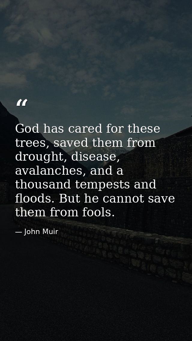God has cared for these trees, saved them from drought, disease, avalanches, and a thousand tempests and floods. But he  — John Muir