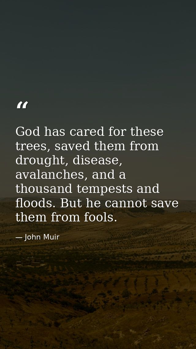 God has cared for these trees, saved them from drought, disease, avalanches, and a thousand tempests and floods. But he  — John Muir