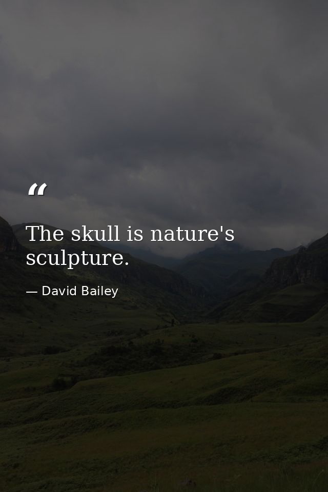The skull is nature's sculpture. — David Bailey