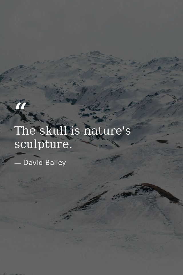 The skull is nature's sculpture. — David Bailey