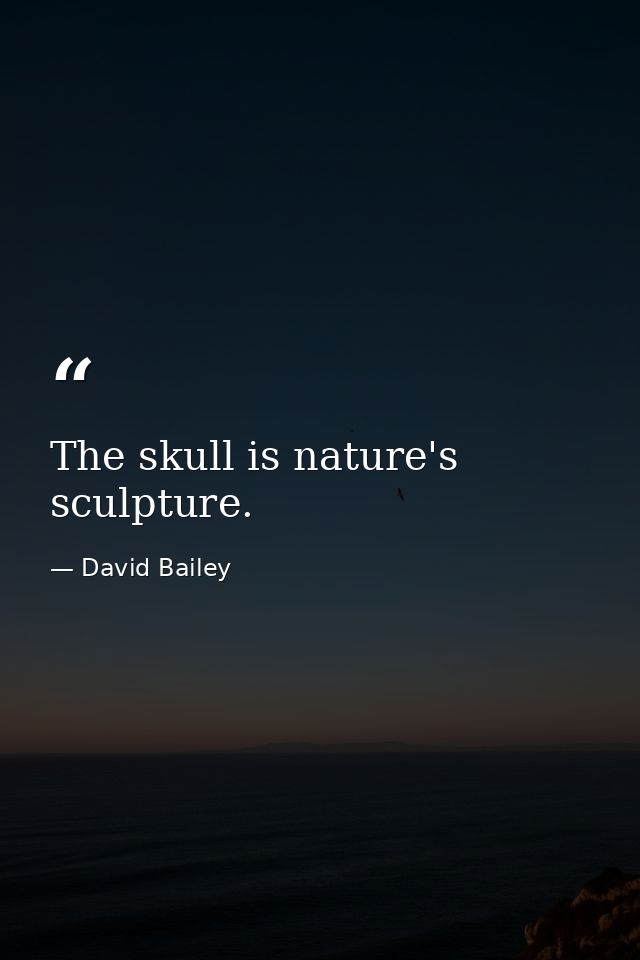 The skull is nature's sculpture. — David Bailey