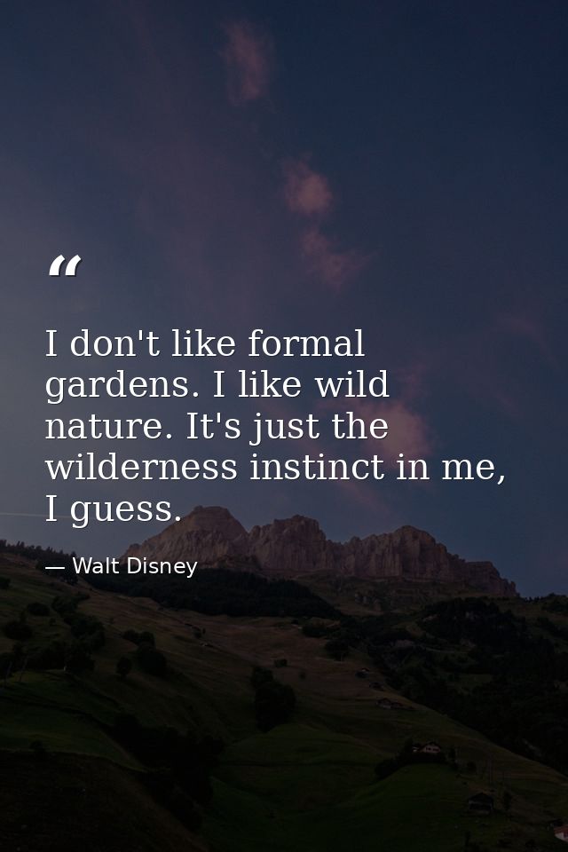I don't like formal gardens. I like wild nature. It's just the wilderness instinct in me, I guess. — Walt Disney