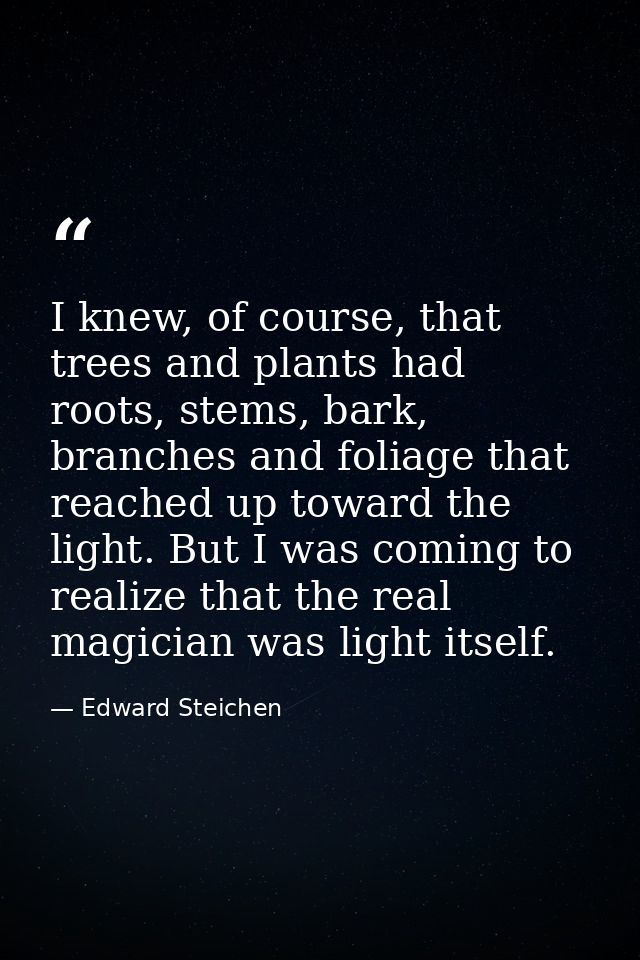 I knew, of course, that trees and plants had roots, stems, bark, branches and foliage that reached up toward the light.  — Edward Steichen