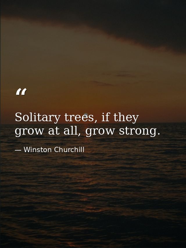 Solitary trees, if they grow at all, grow strong. — Winston Churchill