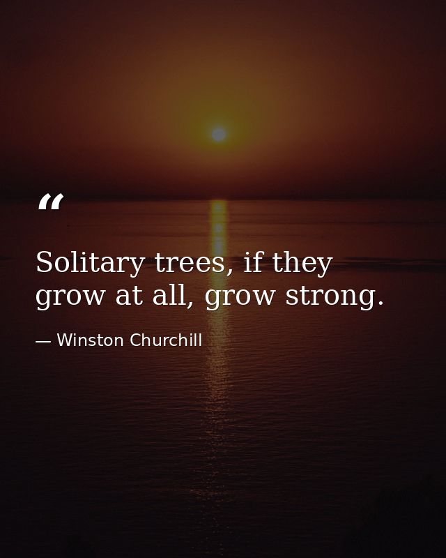 Solitary trees, if they grow at all, grow strong. — Winston Churchill