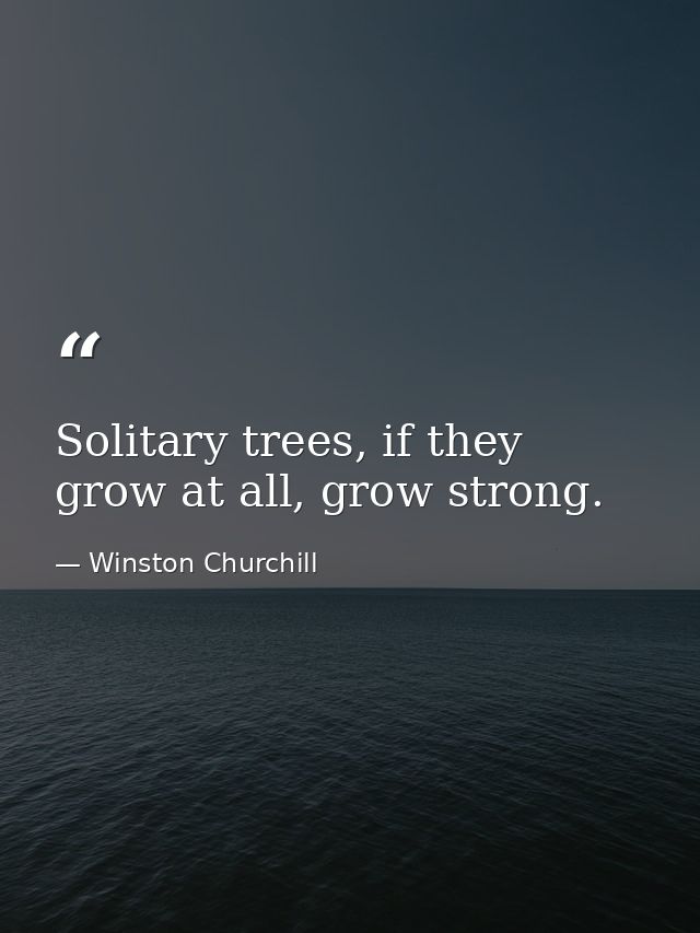 Solitary trees, if they grow at all, grow strong. — Winston Churchill