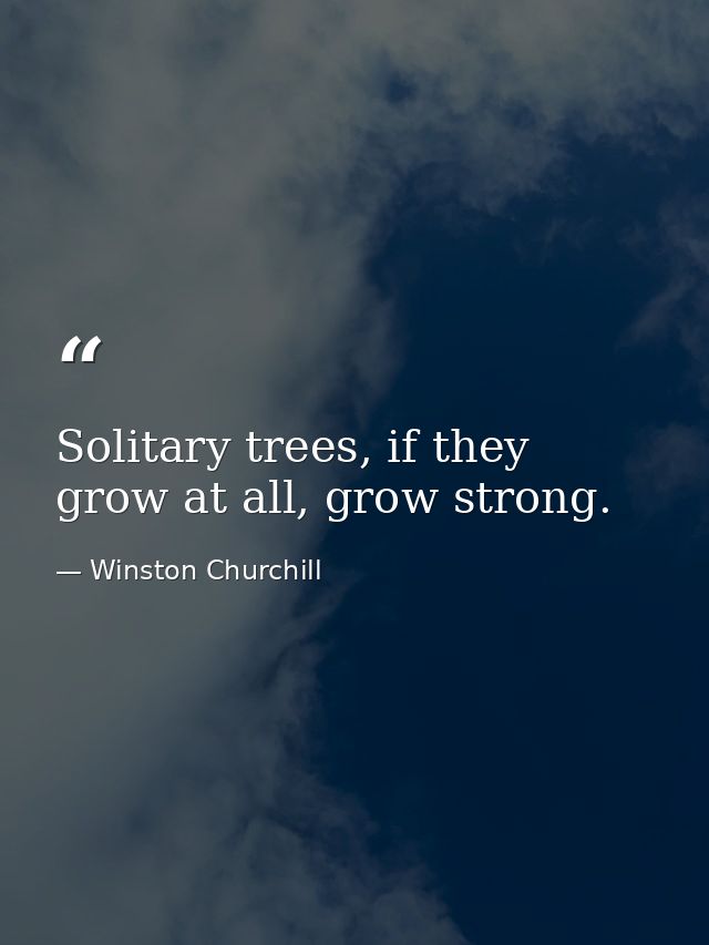 Solitary trees, if they grow at all, grow strong. — Winston Churchill