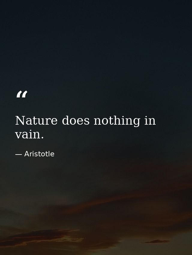 Nature does nothing in vain. — Aristotle