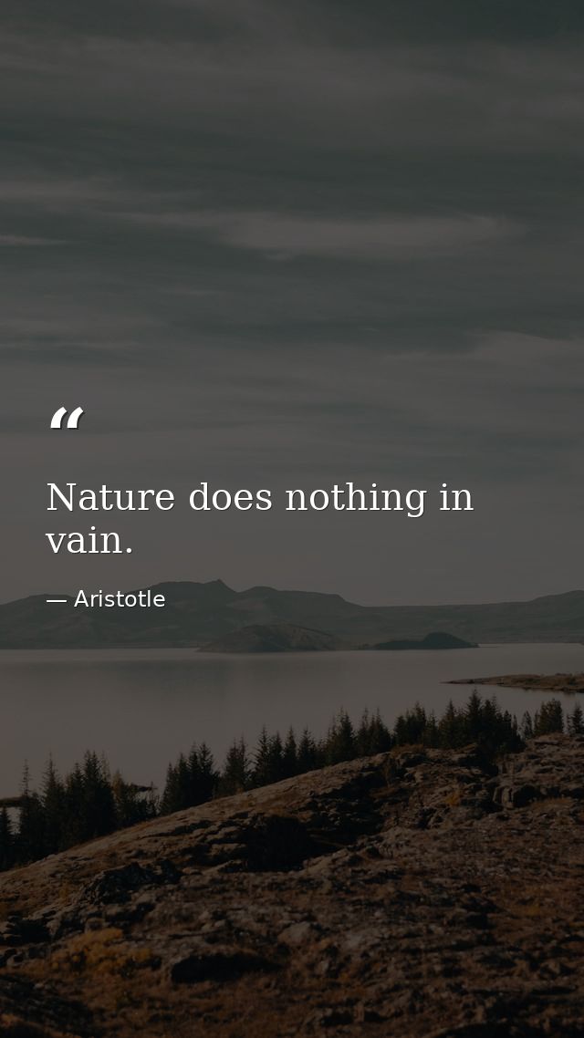 Nature does nothing in vain. — Aristotle