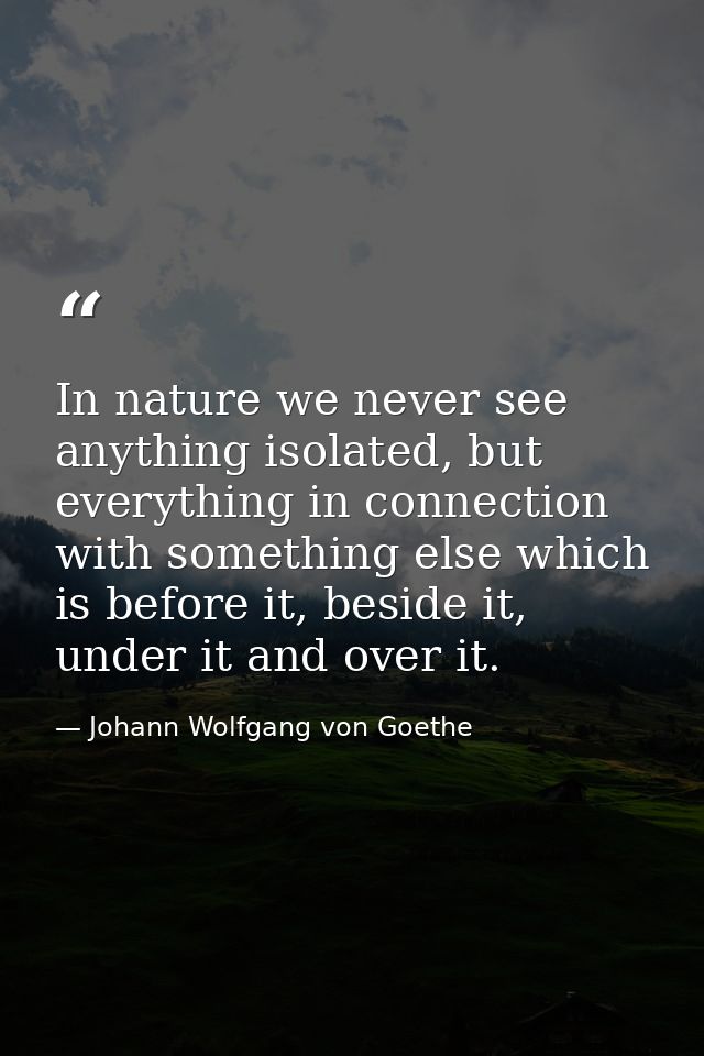 In nature we never see anything isolated, but everything in connection with something else which is before it, beside it — Johann Wolfgang von Goethe