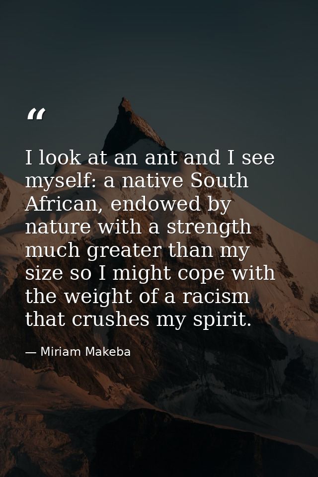 I look at an ant and I see myself: a native South African, endowed by nature with a strength much greater than my size s — Miriam Makeba