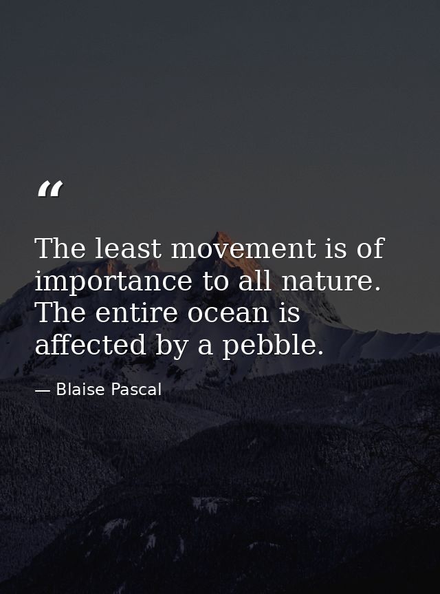 The least movement is of importance to all nature. The entire ocean is affected by a pebble. — Blaise Pascal