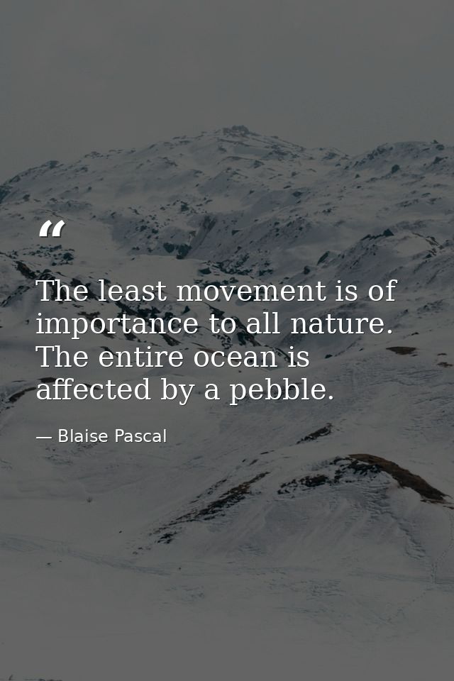 The least movement is of importance to all nature. The entire ocean is affected by a pebble. — Blaise Pascal