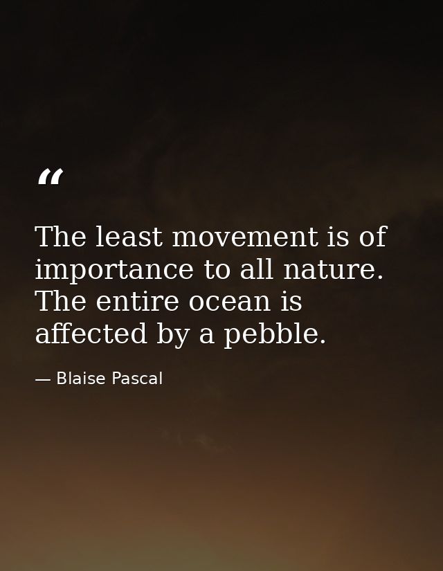 The least movement is of importance to all nature. The entire ocean is affected by a pebble. — Blaise Pascal